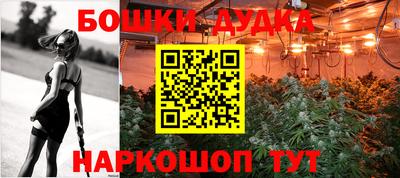 МДПВ Новокубанск