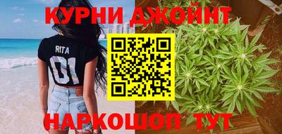 PSILOCYBIN Новозыбков