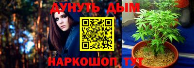 МДПВ Новокубанск