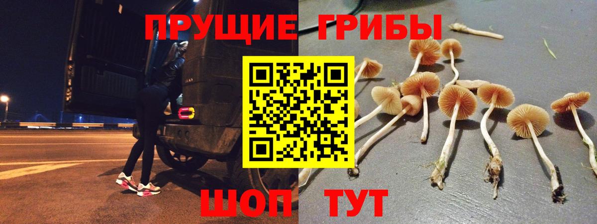Псилоцибиновые грибы MAGIC MUSHROOMS Урус-Мартан
